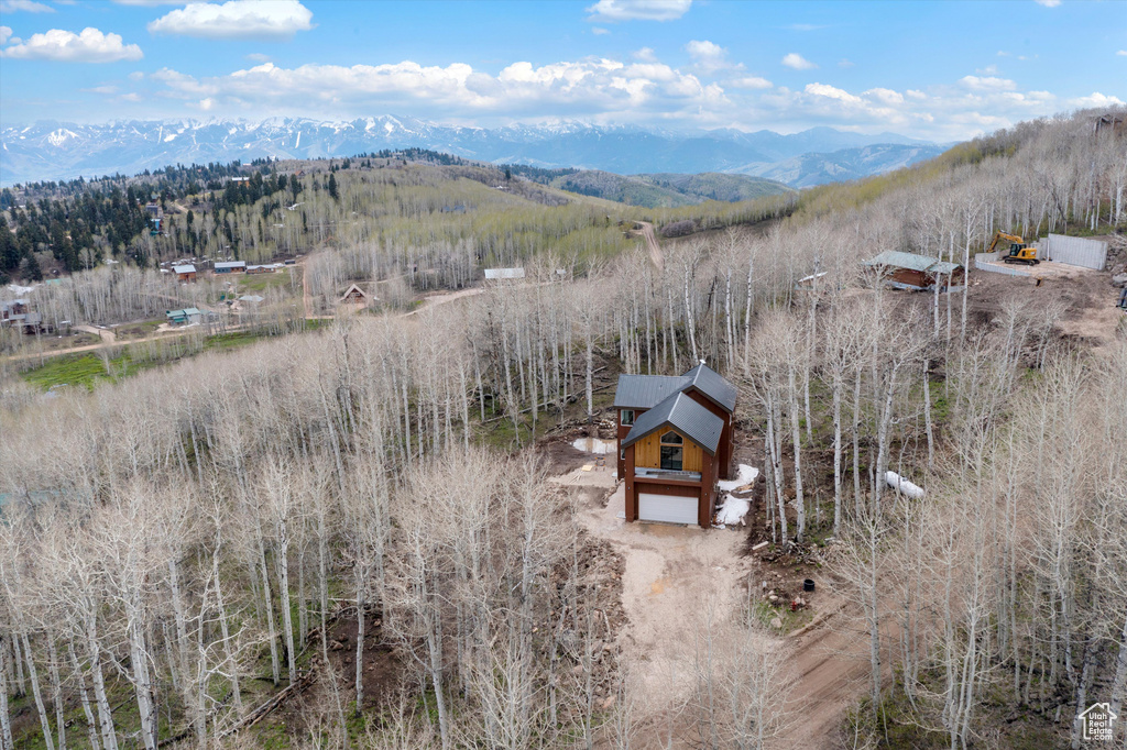 Bird's eye view of a mountain backdrop