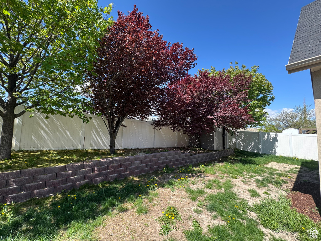View of fenced backyard
