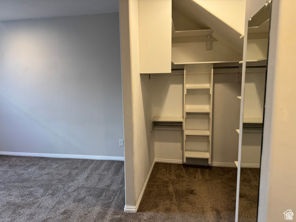 Spacious closet featuring dark carpet