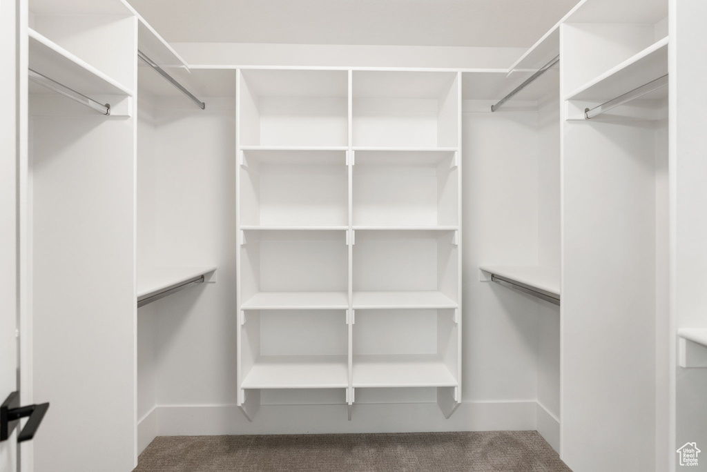 Spacious closet with carpet