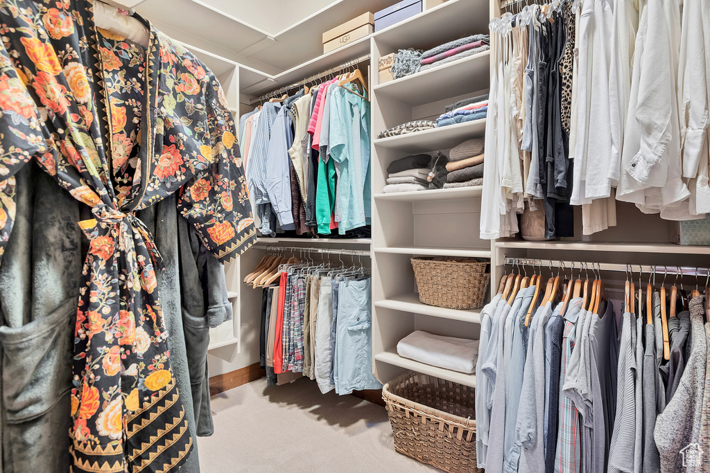 Spacious closet with carpet
