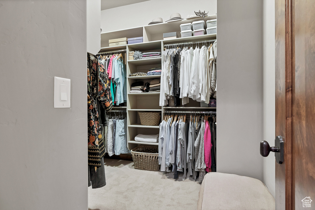 Spacious closet featuring carpet floors
