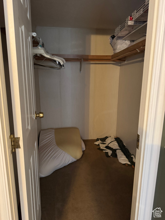Spacious closet with carpet floors