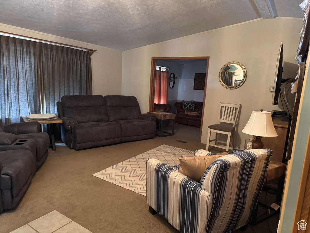 Carpeted living area with lofted ceiling and a textured ceiling