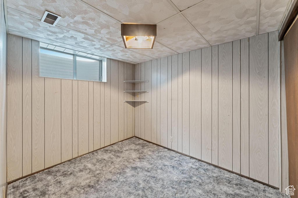 Basement with carpet and wood walls