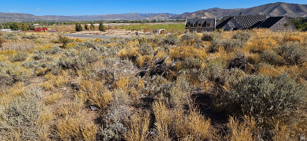 574 S FOX DEN RD Midway, UT 84049