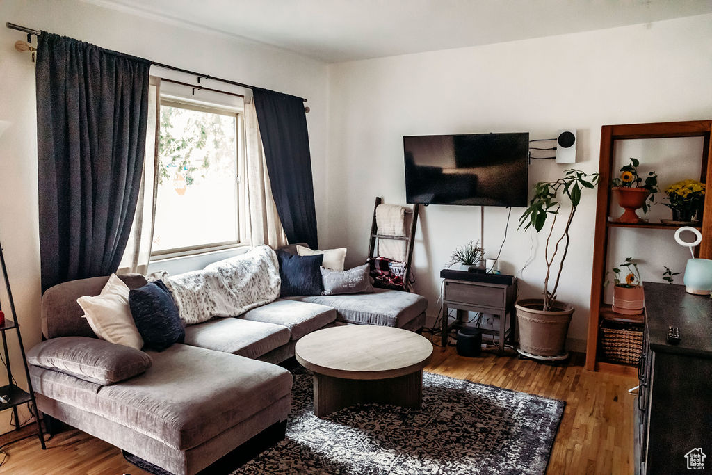 Living room with wood finished floors