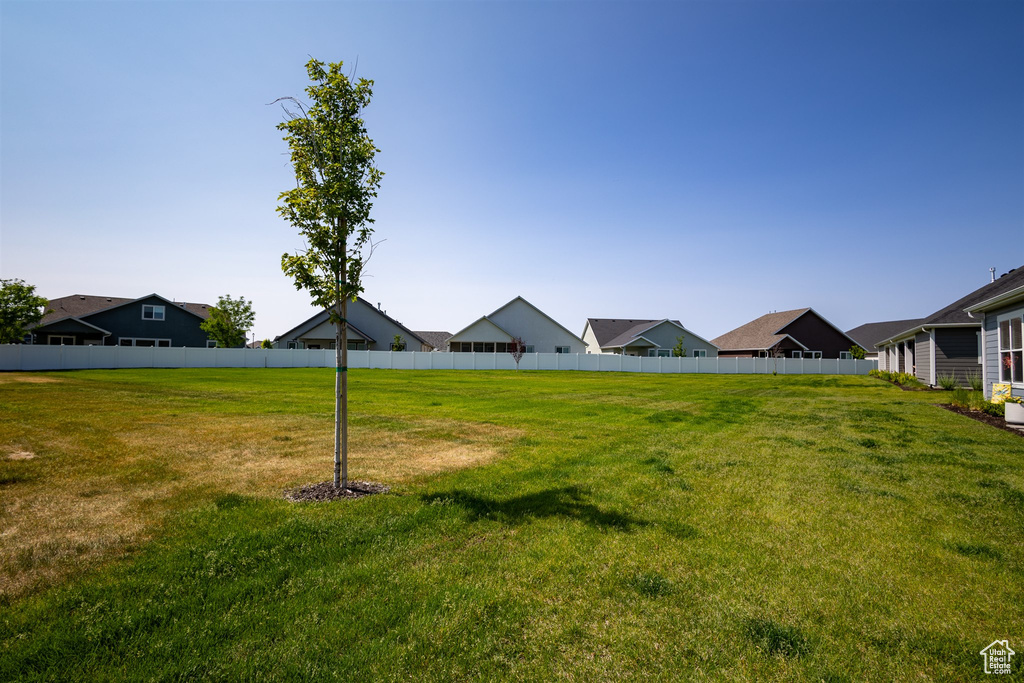 View of yard featuring a residential view