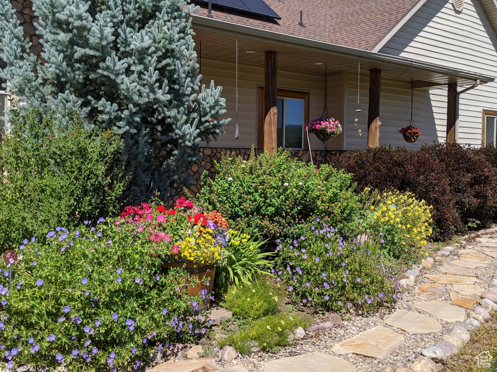 Doorway to property featuring a porch, solar panels, and a shingled roof