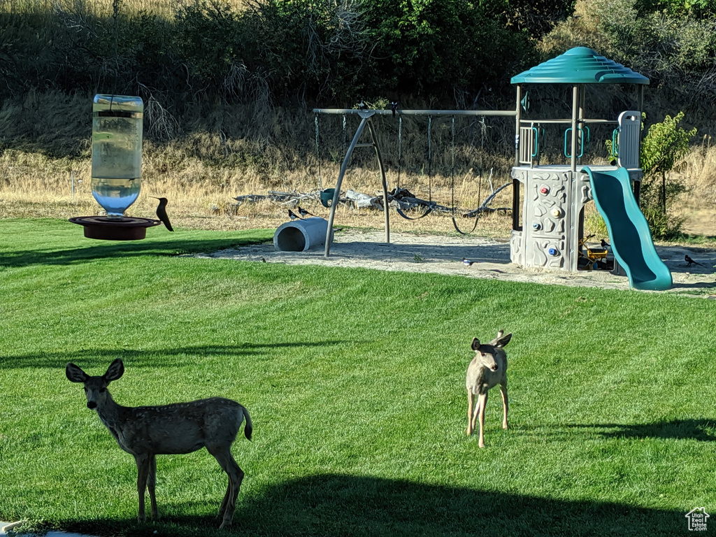 Community playground with a yard
