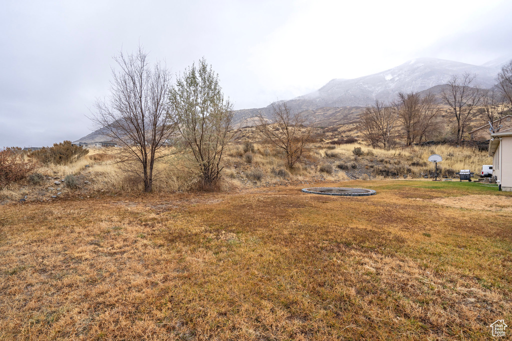 View of mountain background