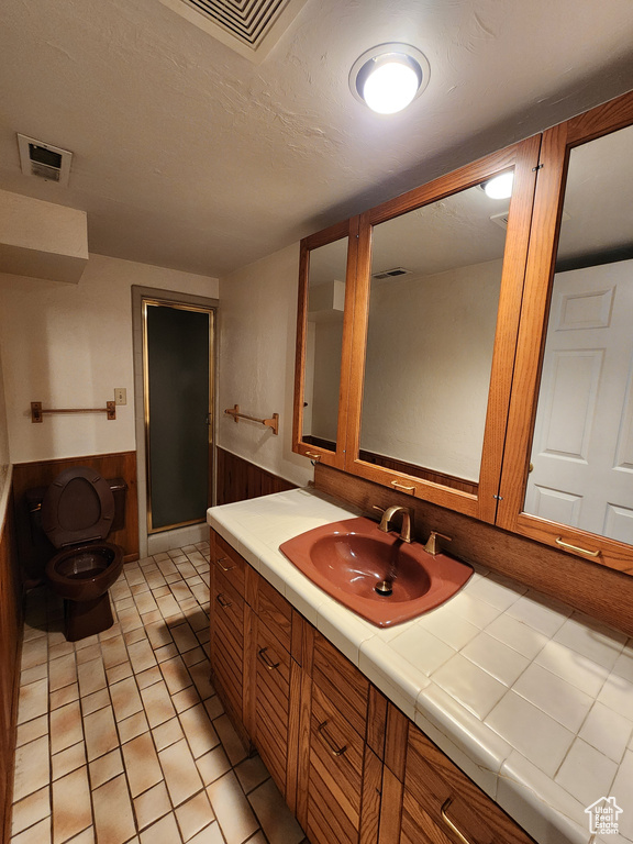 Full bathroom with toilet, vanity, and wainscoting
