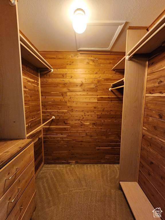 Walk in closet with carpet floors