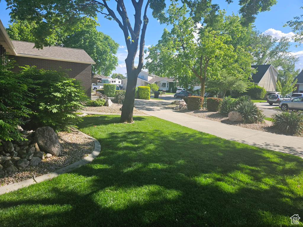 View of green lawn with a residential view