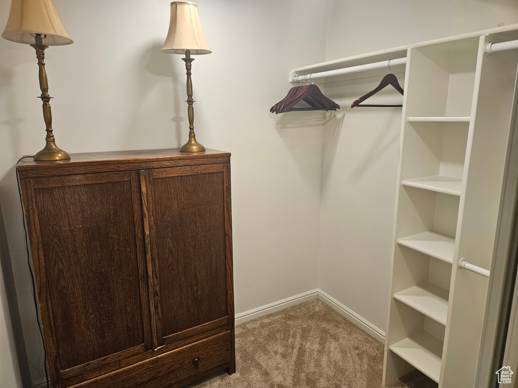 Spacious closet with carpet