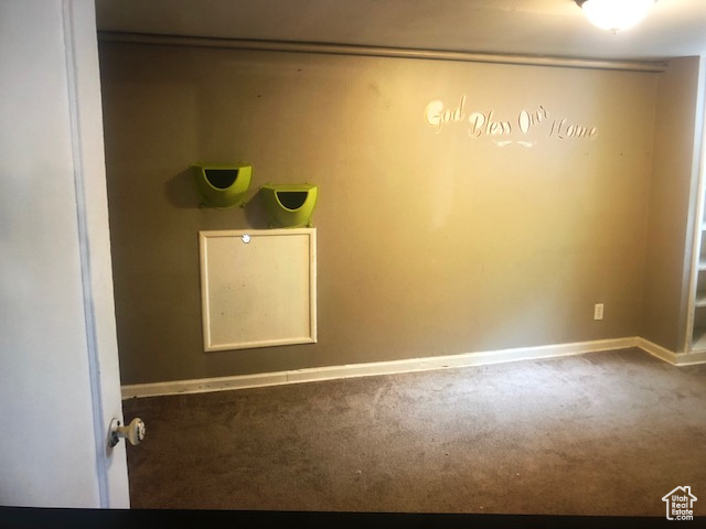 Laundry room featuring carpet and baseboards