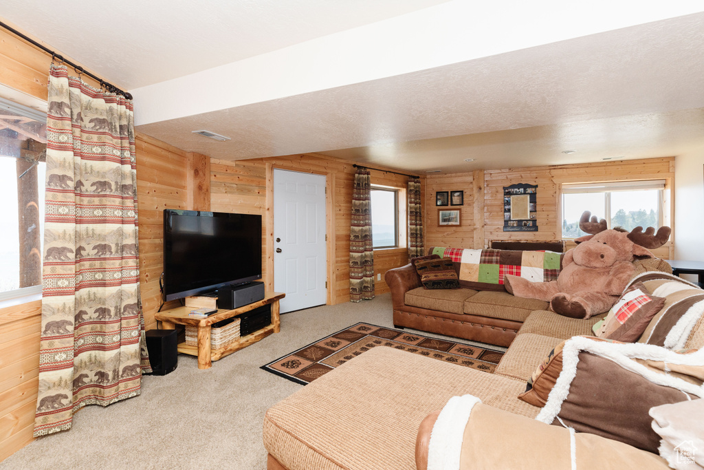 Carpeted living room with wooden walls and plenty of natural light