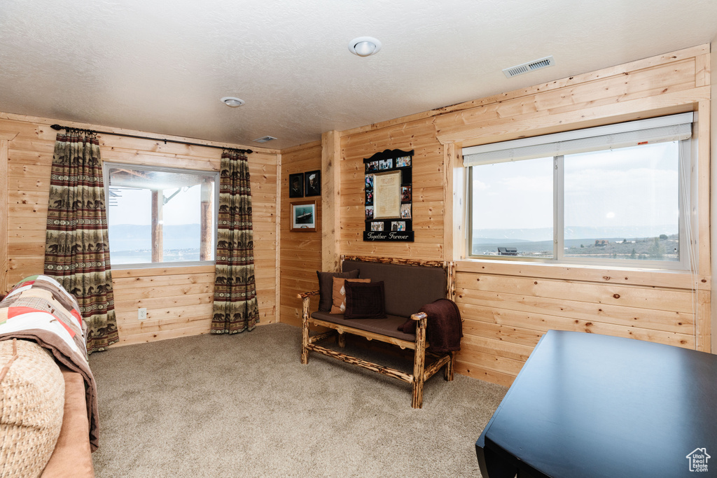 Bedroom featuring wooden walls and carpet flooring