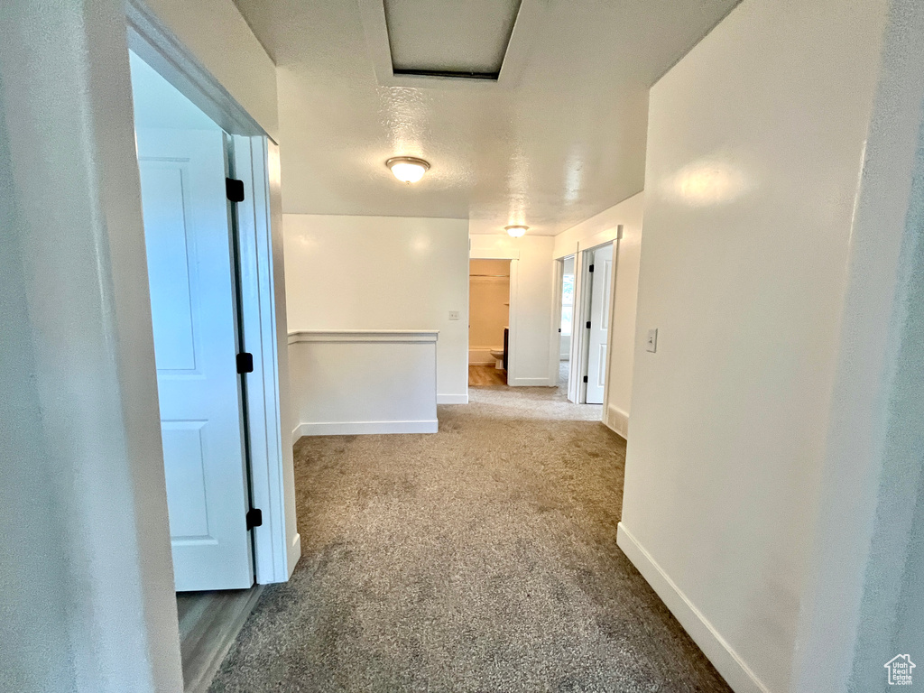 Hall with carpet and baseboards
