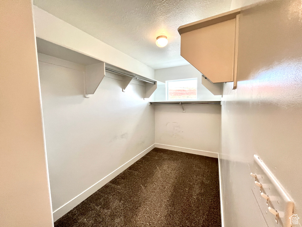 Walk in closet featuring carpet flooring