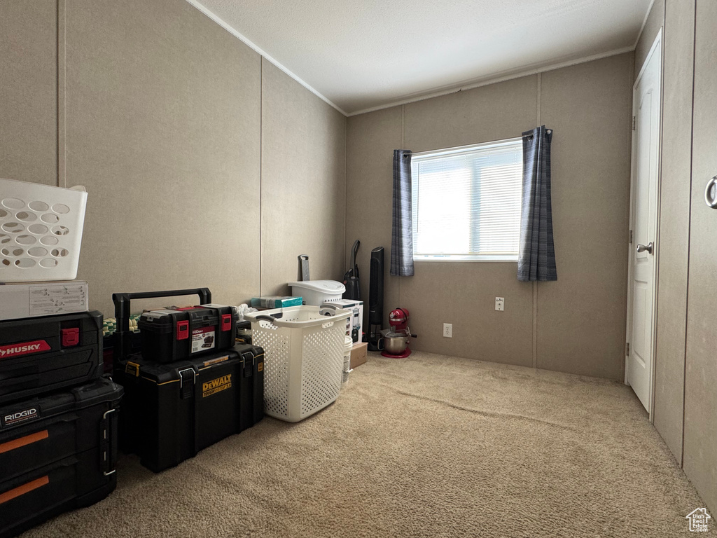Interior space with carpet and crown molding