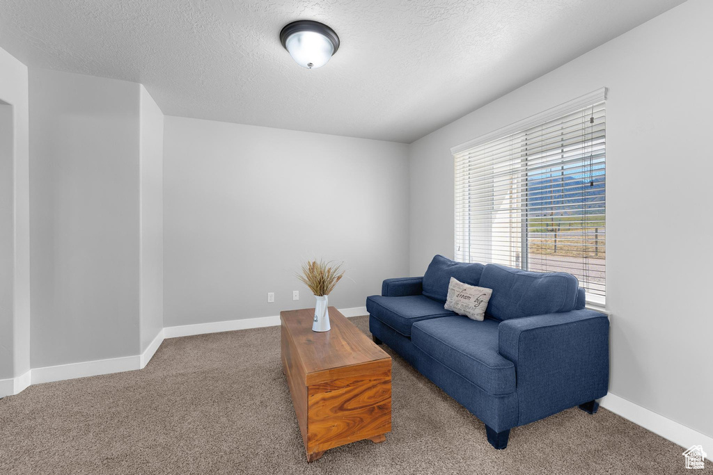 Living area featuring carpet, a textured ceiling, and baseboards