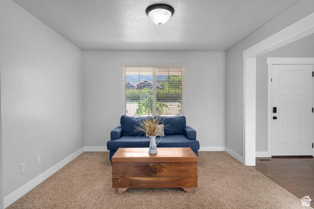 Sitting room with a textured ceiling, baseboards, and carpet floors
