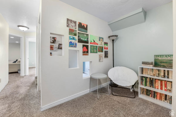 Playroom featuring carpet flooring