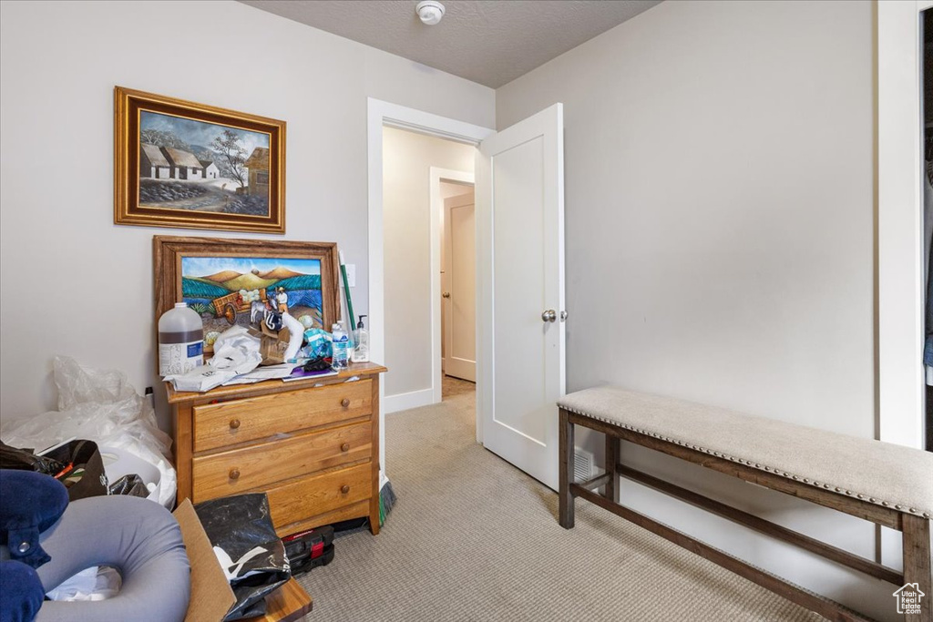 Sitting room with light colored carpet