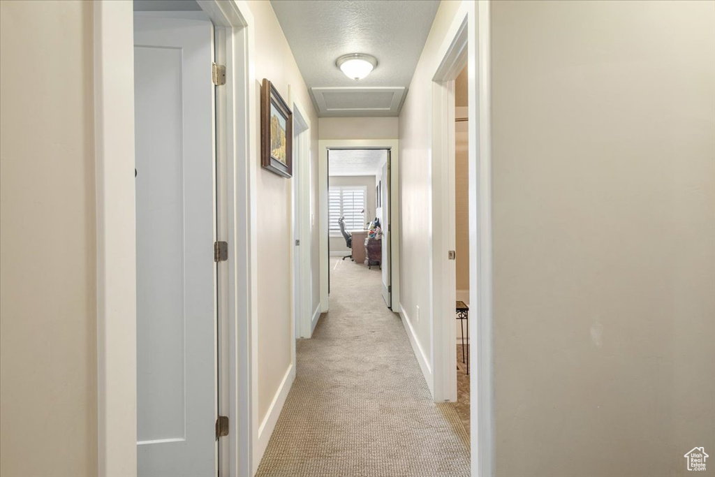 Hall with light colored carpet, baseboards, a textured ceiling, and attic access