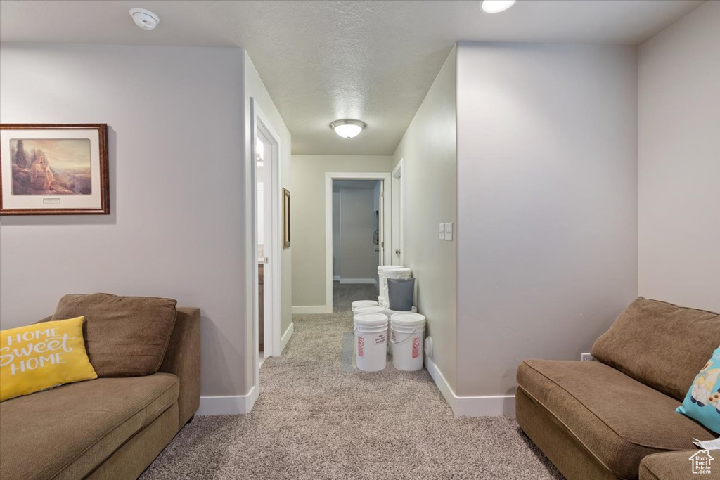 Living area featuring carpet floors and baseboards