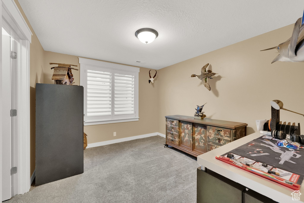 Office with carpet flooring, baseboards, and a textured ceiling