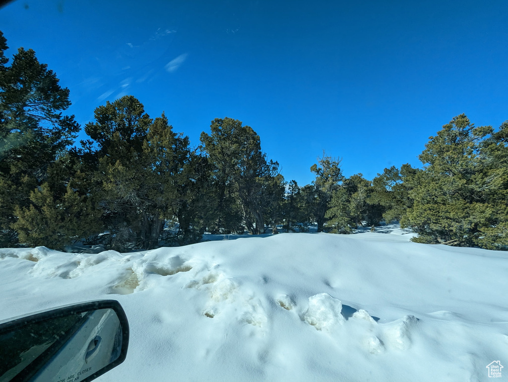 View of road