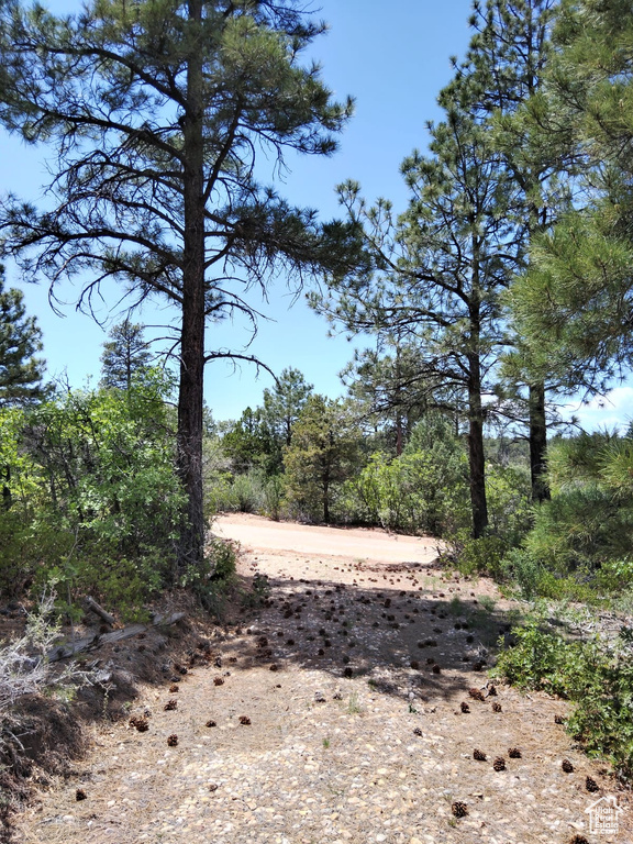 View of nature