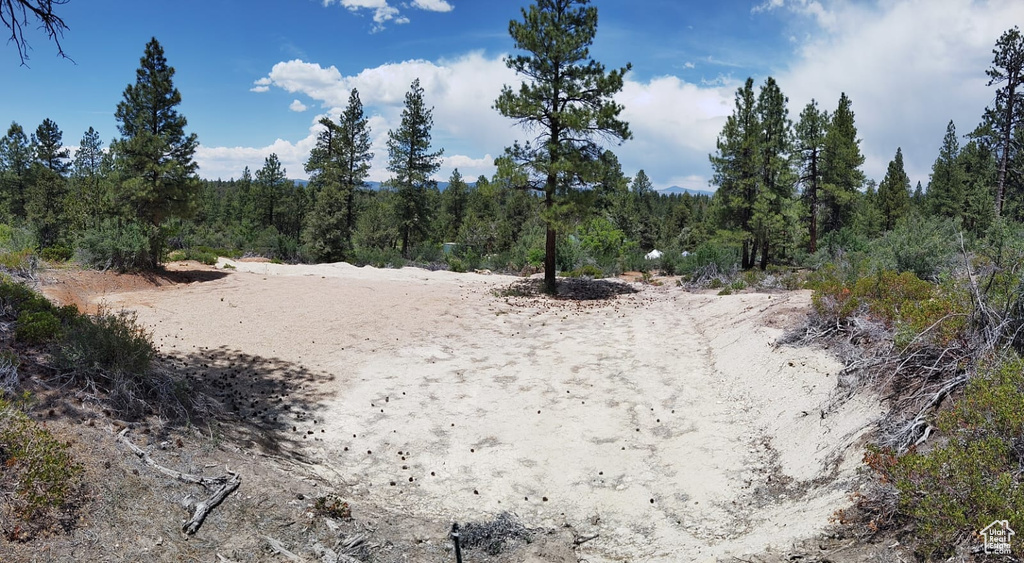 View of wooded area