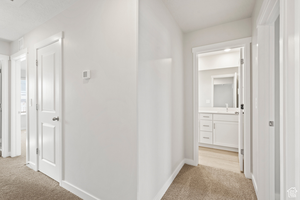 Hall featuring light carpet