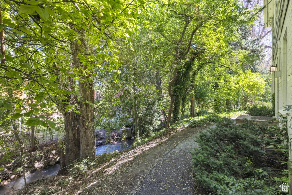 View of road
