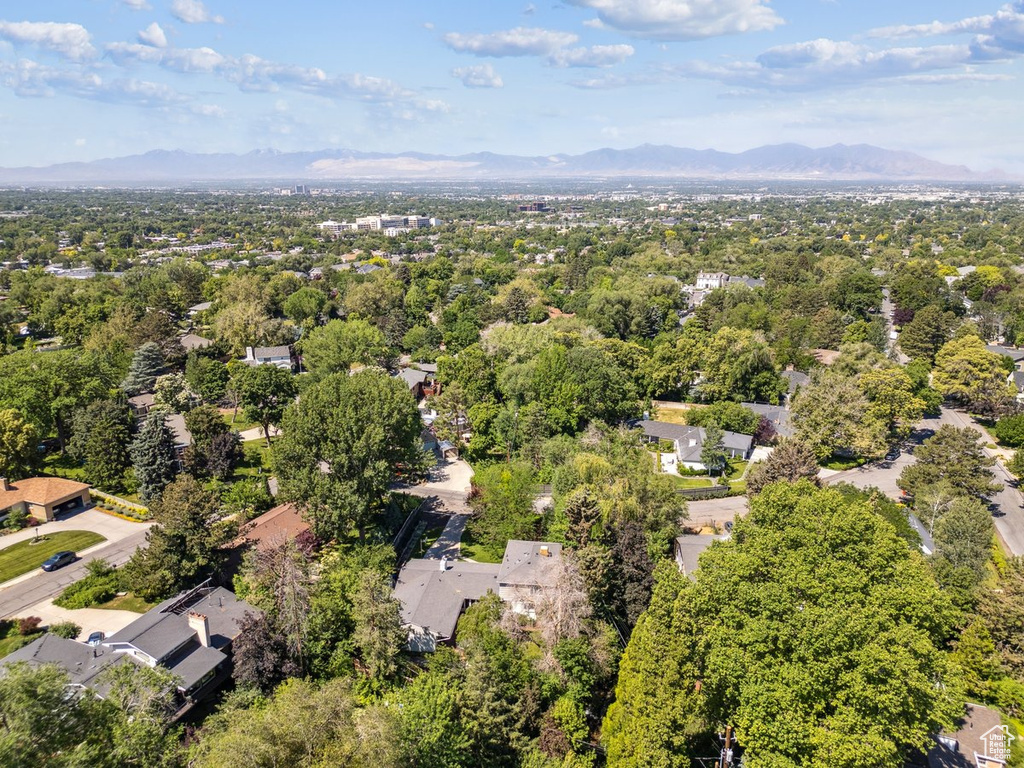 Aerial view of a mountain backdrop