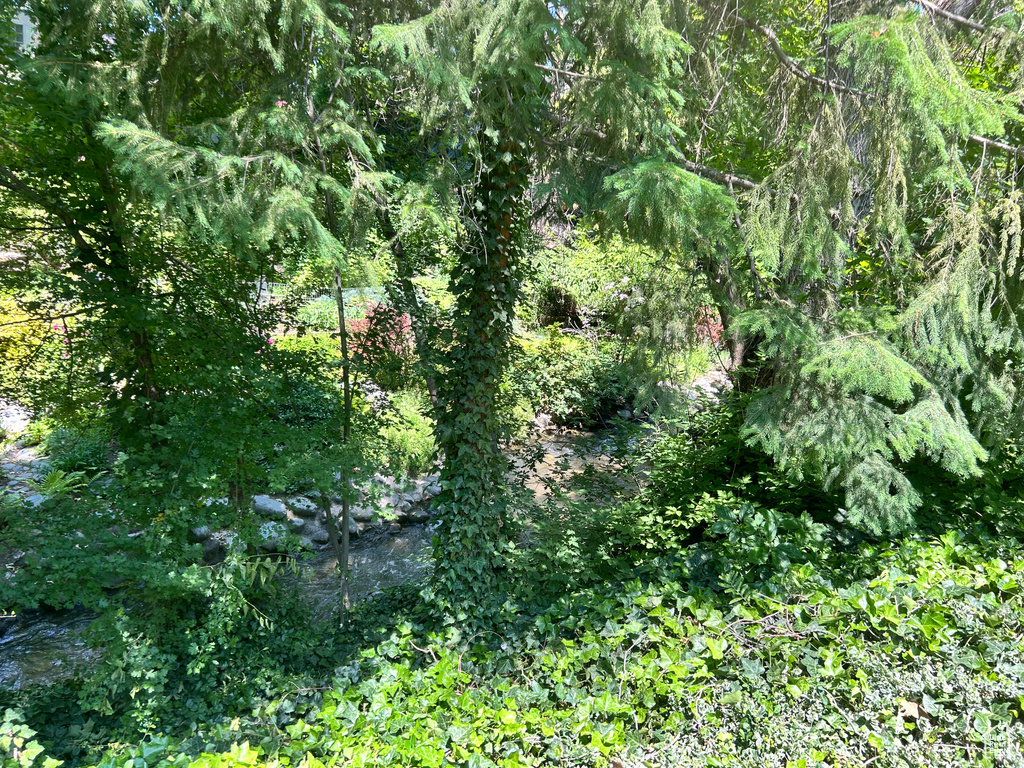View of undeveloped land