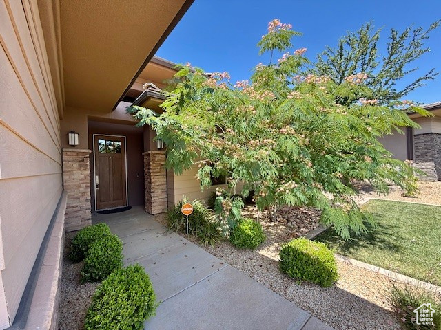 Entrance to property with stone siding