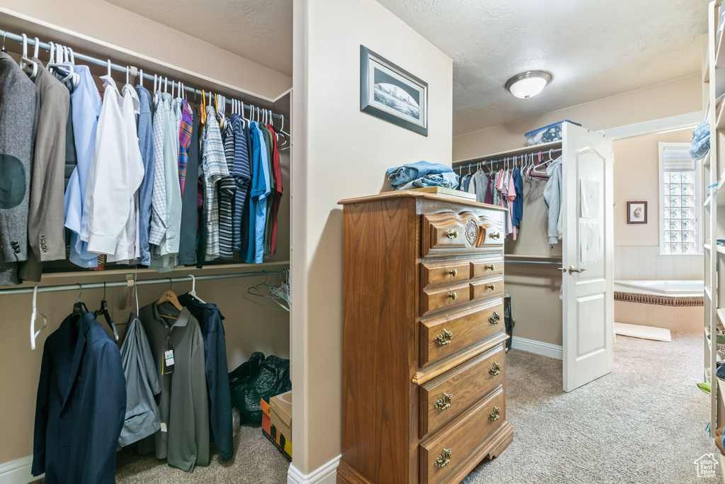 Walk in closet with carpet flooring