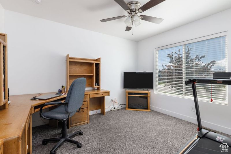 Office featuring ceiling fan, carpet floors, and baseboards