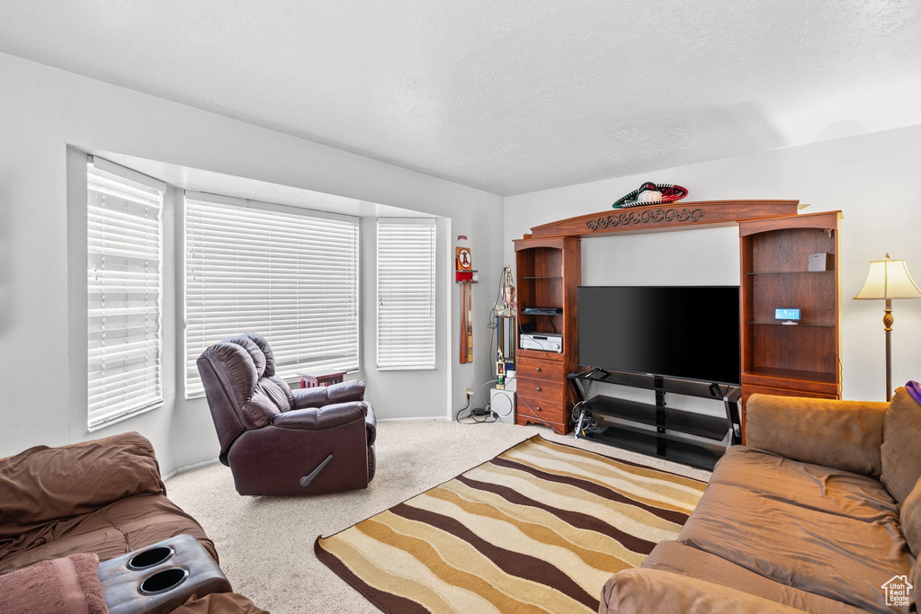 Living area with carpet and baseboards