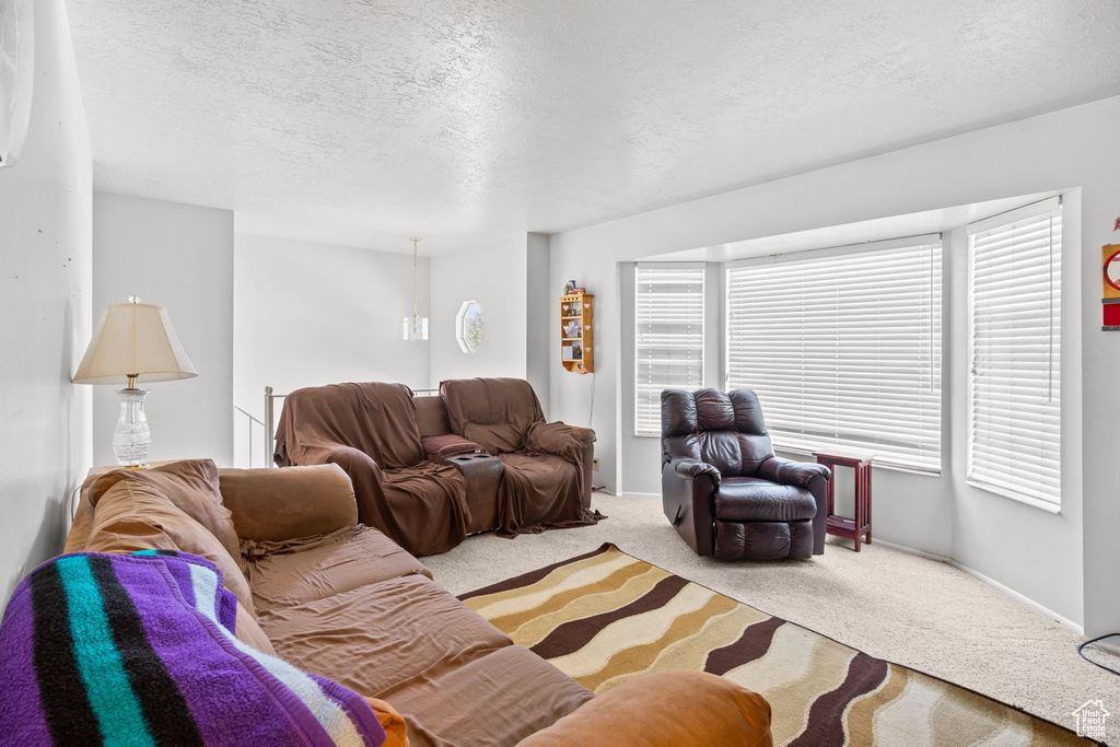 Living area with carpet flooring, a textured ceiling, and baseboards