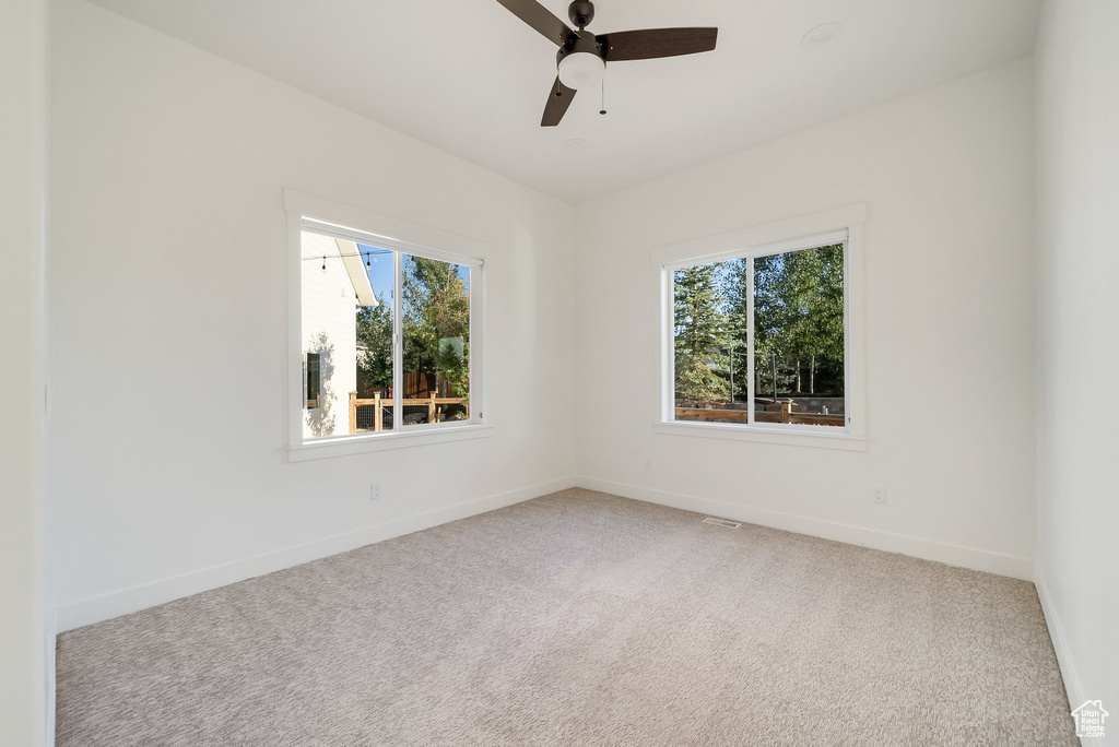 Unfurnished room featuring plenty of natural light, carpet floors, and baseboards