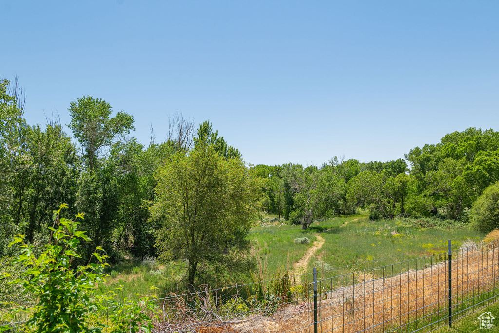 View of local wilderness