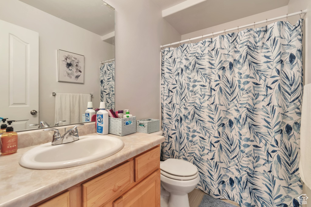 Full bathroom featuring vanity, toilet, and a shower with shower curtain