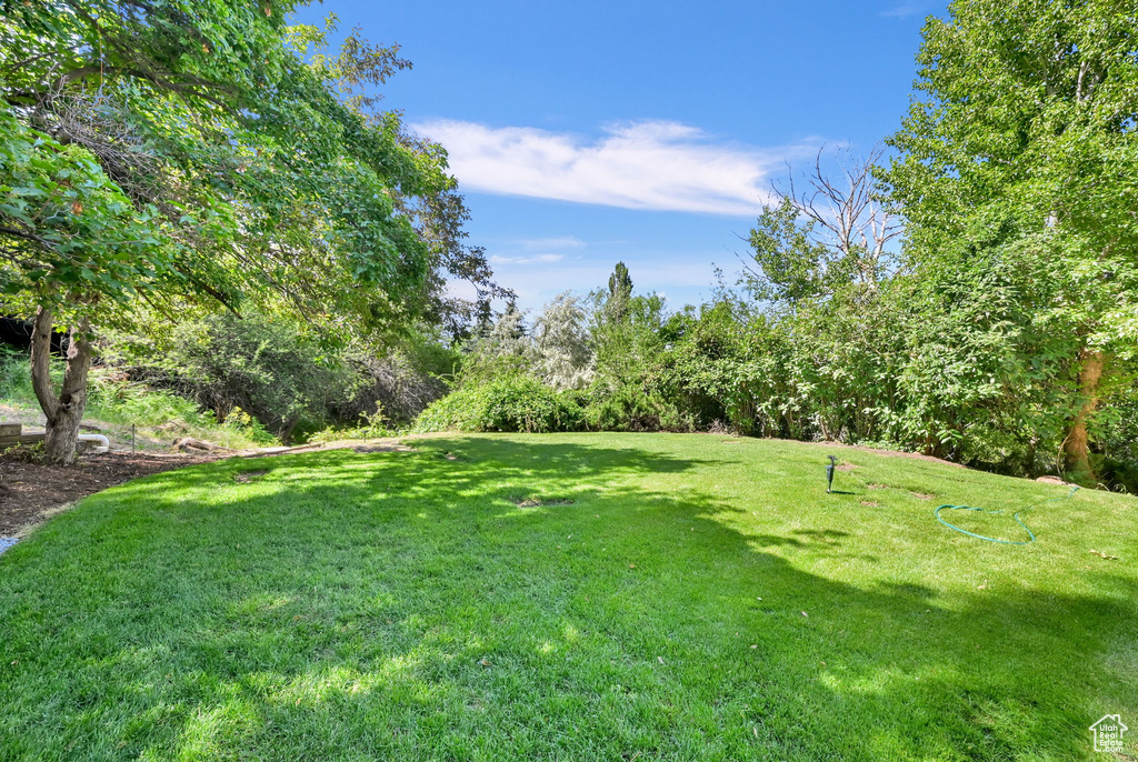 View of grassy yard