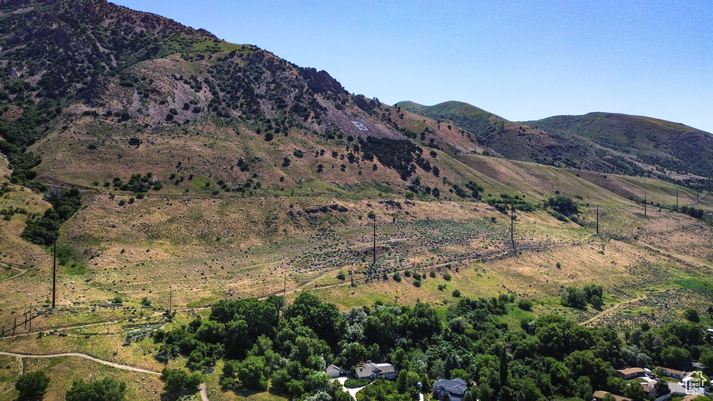 View of mountain background