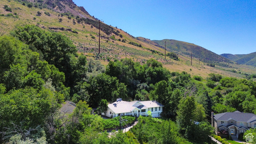 View of mountain background